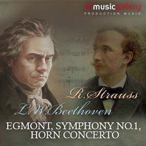 Album L.van Beethoven, R.Strauss